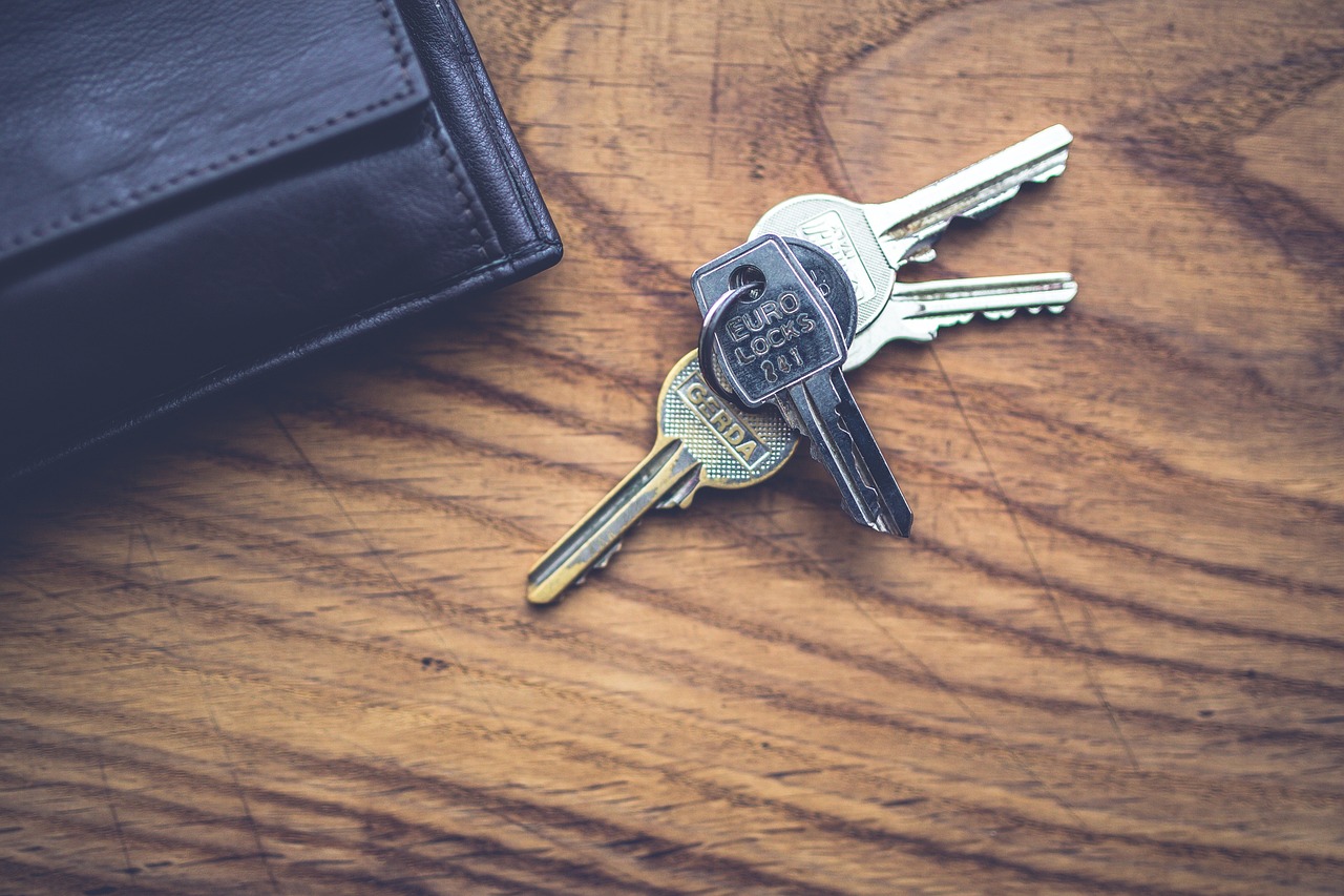 Protecting your e-wallet from cyber theft